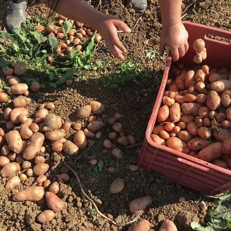 Bioagriturismo Sant'elia Calvello