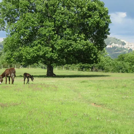 Bioagriturismo Sant'elia Çiftlik konaklama *