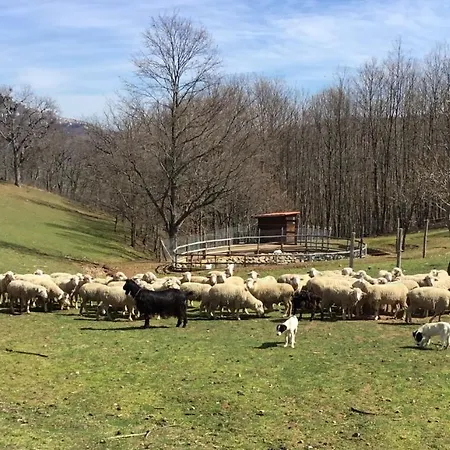 Çiftlik konaklama Bioagriturismo Sant'elia *