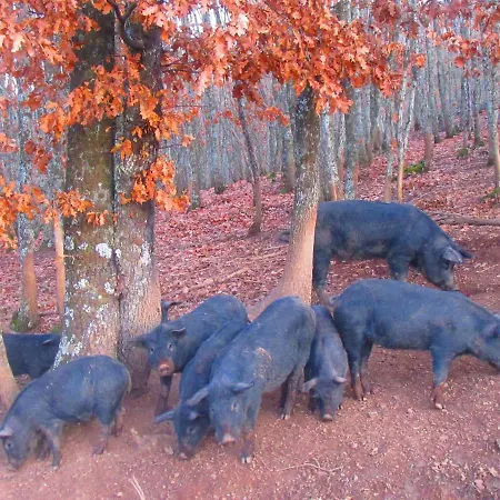 Bioagriturismo Sant'elia