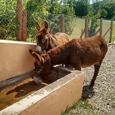 Vakantieboerderij Bioagriturismo Sant'elia *