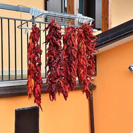 Bioagriturismo Sant'elia Vakantieboerderij