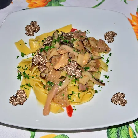 Çiftlik konaklama Bioagriturismo Sant'elia Calvello